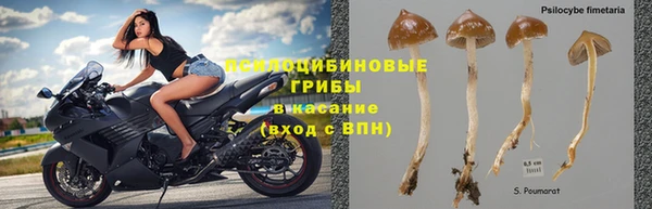 бошки Абаза