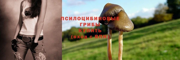 ALPHA PVP Алексин