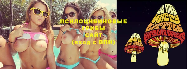 эйфоретик Алзамай