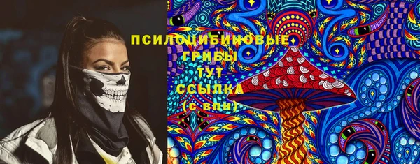 эйфоретик Алзамай