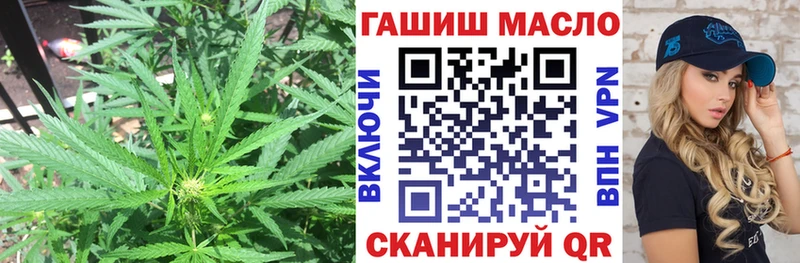 mega как зайти Белореченск Дистиллят ТГК концентрат продажа наркотиков